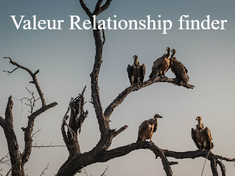 = No Hope, No Fear = Valeur Relationship Finder