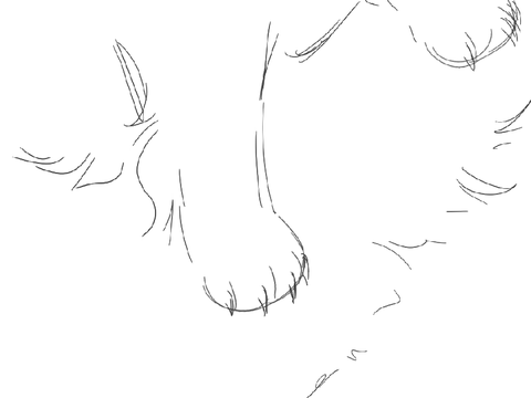 Two-headed Boy // a Prince Animatic
