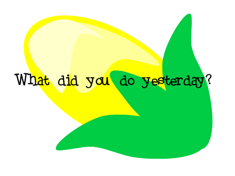What Did You Do Yesterday?