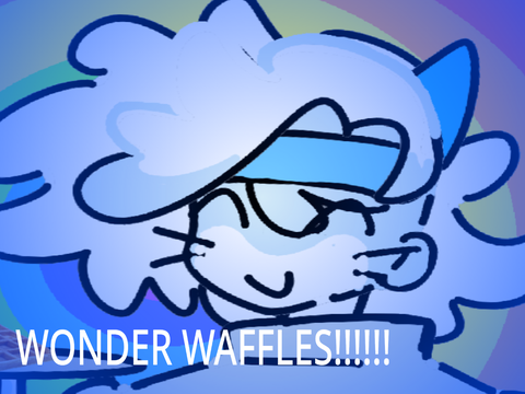 WONDER WAFFLES