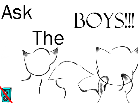 Ask The BOYS!!!