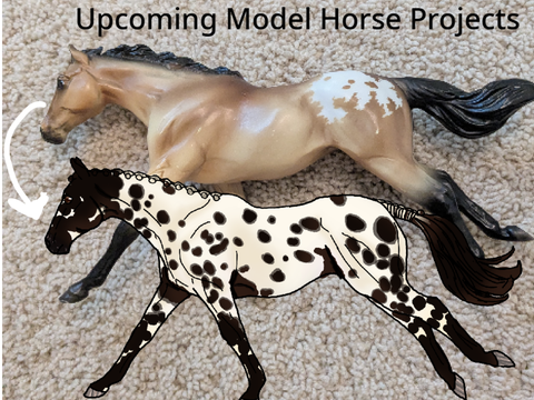 Upcoming Horse Projects!