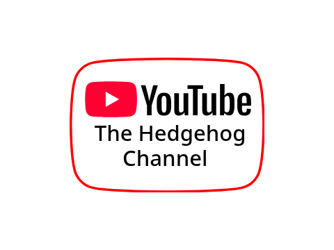 YTH Studio Channel Logo (2020-Present)
