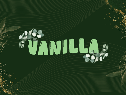 04. Vanilla
