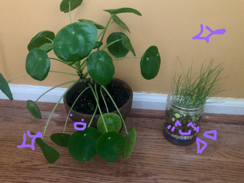 I <3 MY PLANTS CHAT