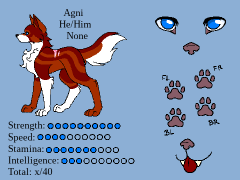 The Hidden Realm~ Agni