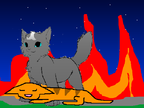 Cat CCE