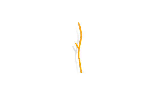 stick