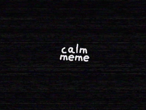 \\ \/ calm . meme \/ //
