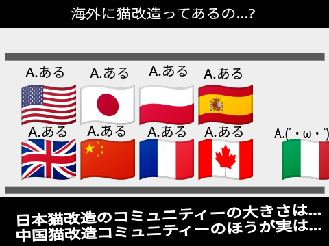 海外には猫改造はあるの？