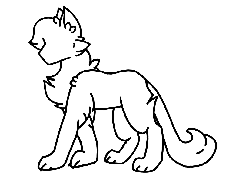new cat base
