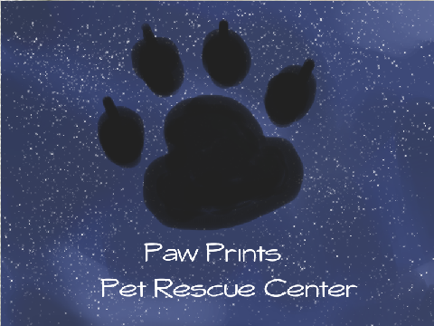 Paw Prints - Pet Rescue Center ||Bio - Sylvester||