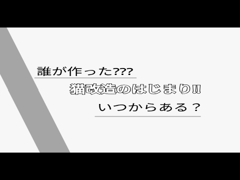 猫改造の始まりについて「猫改造紹介」