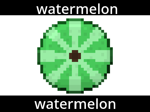 watermelon