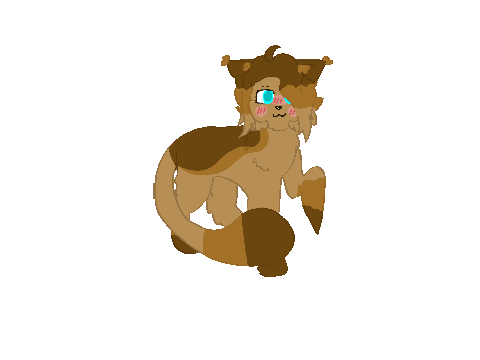 Kit