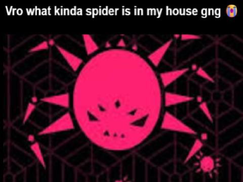 ✹SPIDER DANCE MEME✹