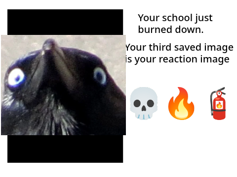 yes