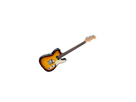 the electric guitar i own