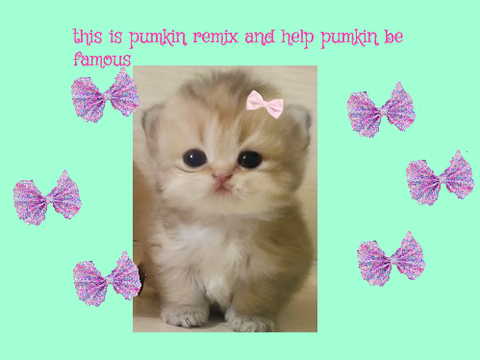 pls remix pumpkin  remix