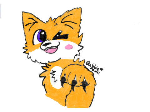 Scratch cat!
