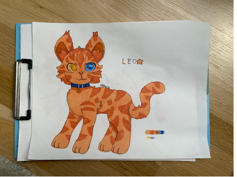DMC entry Leo :)