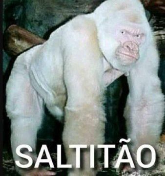 ta aq