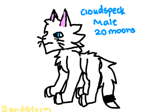 Cloudspeck's bio