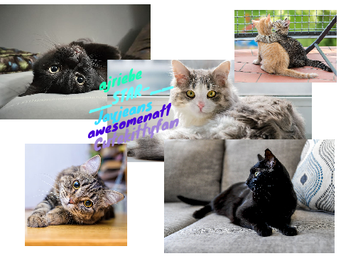 Sign if you love cats!!  remix remix remix remix
