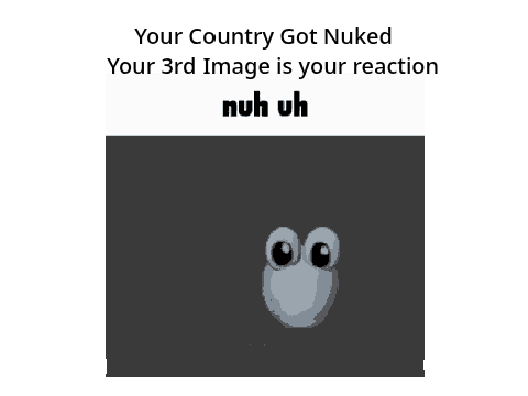 Your Country Got Nuked your 3rd image is your reaction