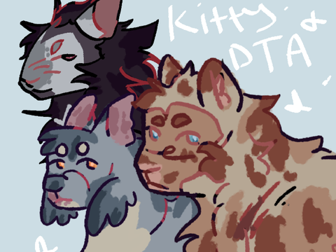 Kitty DTA 100+special OPEN 