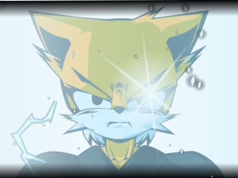 猫の覚醒