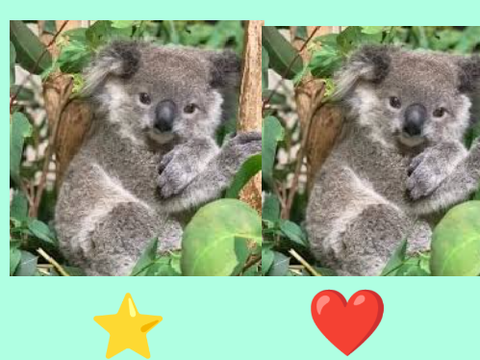 FOR THE KOALAS!