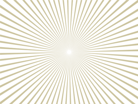 Shapiro illusion remix