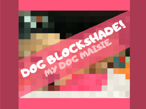 DOG BLOCKSHADE | My dog Maisie!