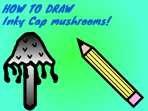 Mushroom Inky Cap - How to draw tutorial