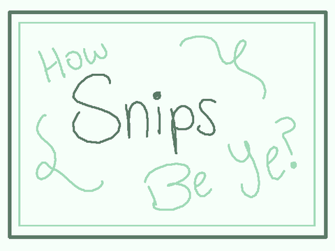 How Snips are You? 2025 edition remix