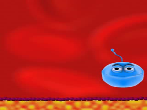 choji