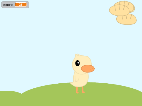 a duck