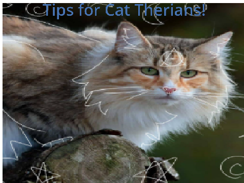 Tips for Cat Therians!