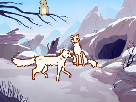 school fox project