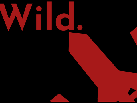 WildW4rrior Branding |DSG2 (Rework)