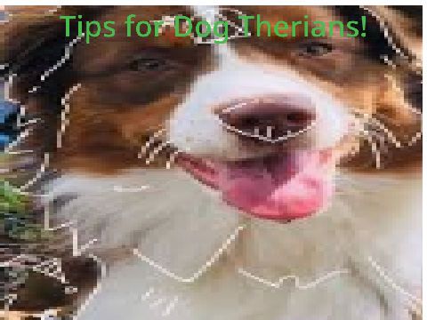 Tips for Dog Therians!
