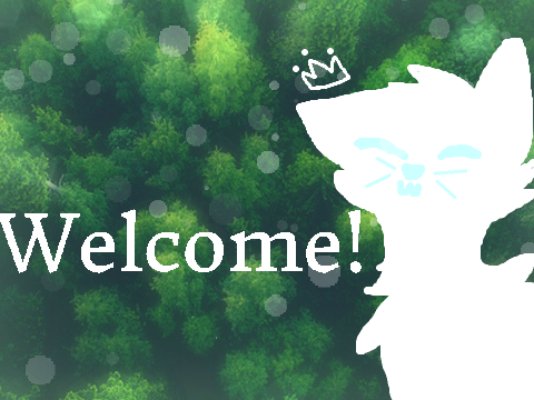Welcome!