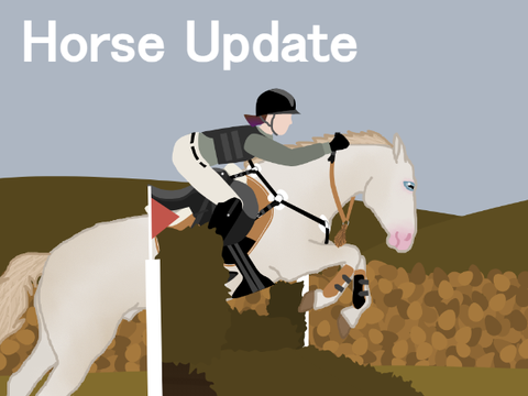 Horse Update - Halloween XC at Kingswood!