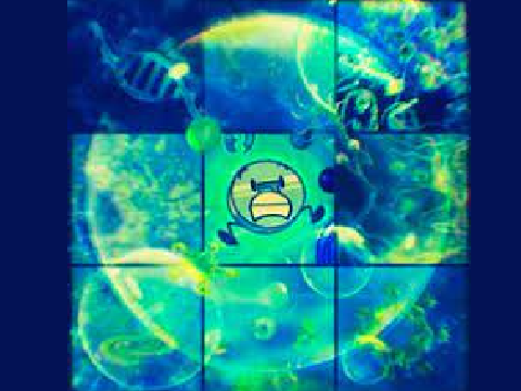Femtanyl-LOTTERY