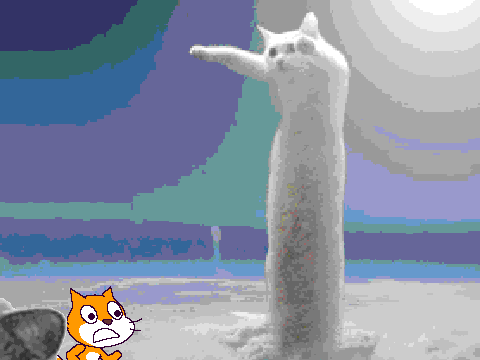 Don't Burn Cats!