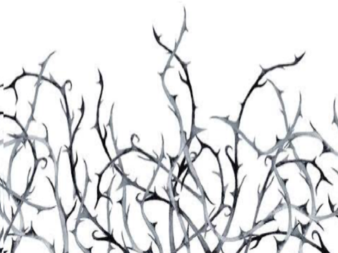-ˏˋ ♔ Heirs to the Crown of Thorns °*˖✧┊͙Tfc loner litter ˖⋆ *˖✧