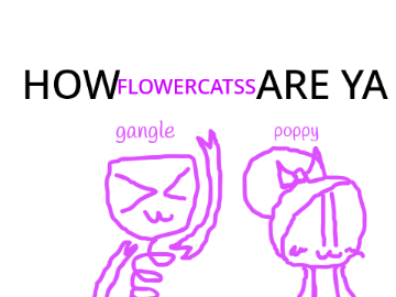HOW FLOWERCATSS ARE U