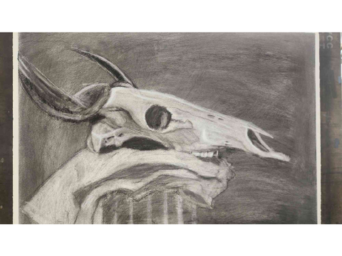 drew this in art class today