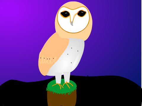owl speed drawing